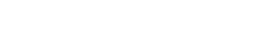 Lepa Brena | Sava Centar - Nova godina 2025.